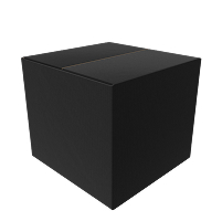 Black Box Testing