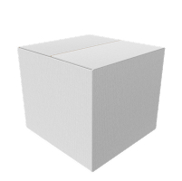 White Box Testing